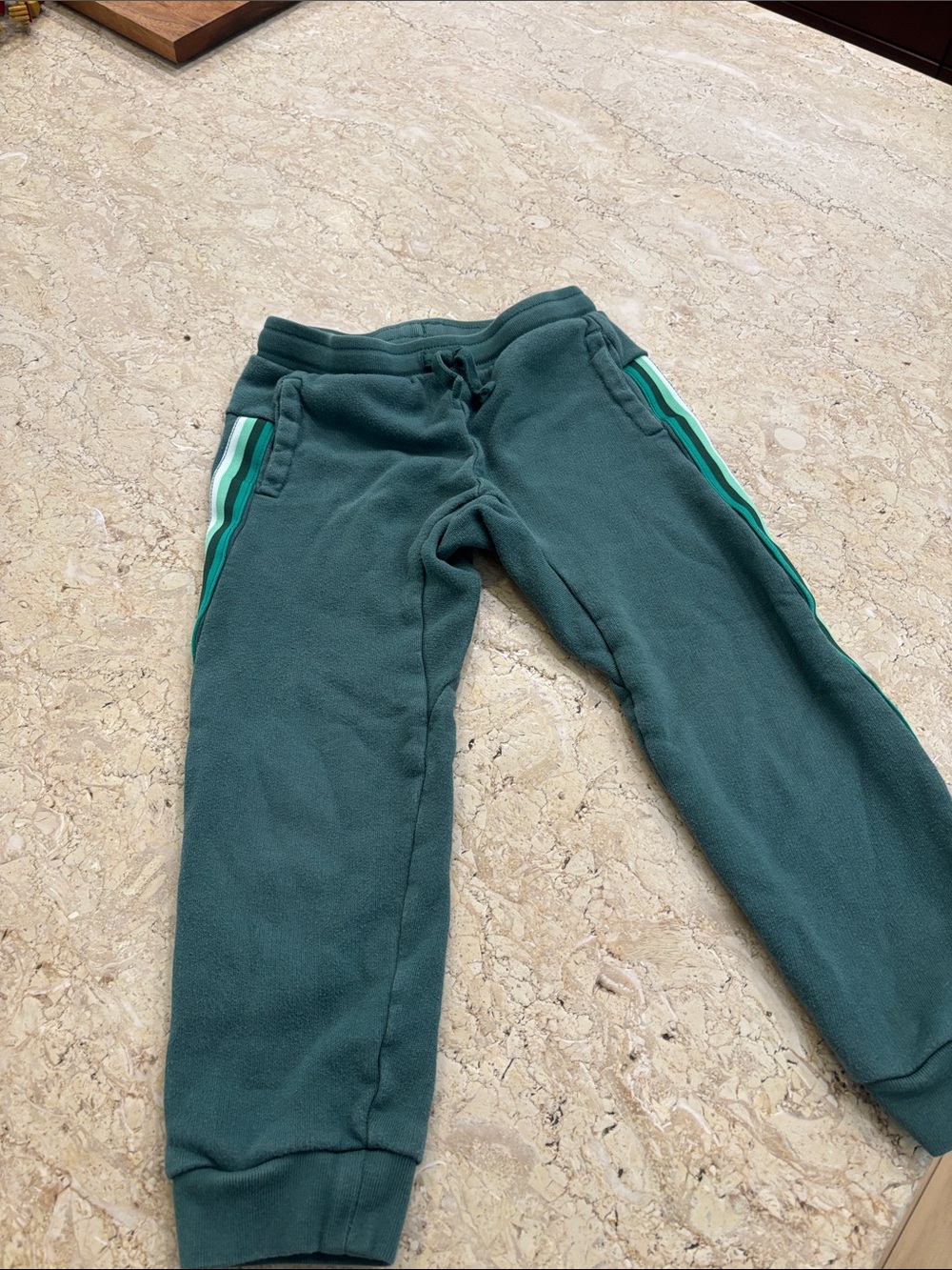 Tea Collection Forest Green Fleece Joggers with Teal Stripe